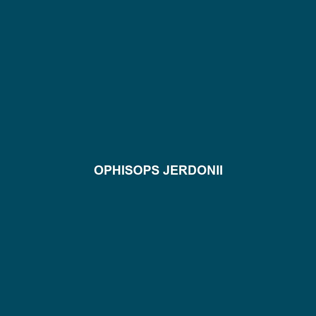 Ophisops jerdonii