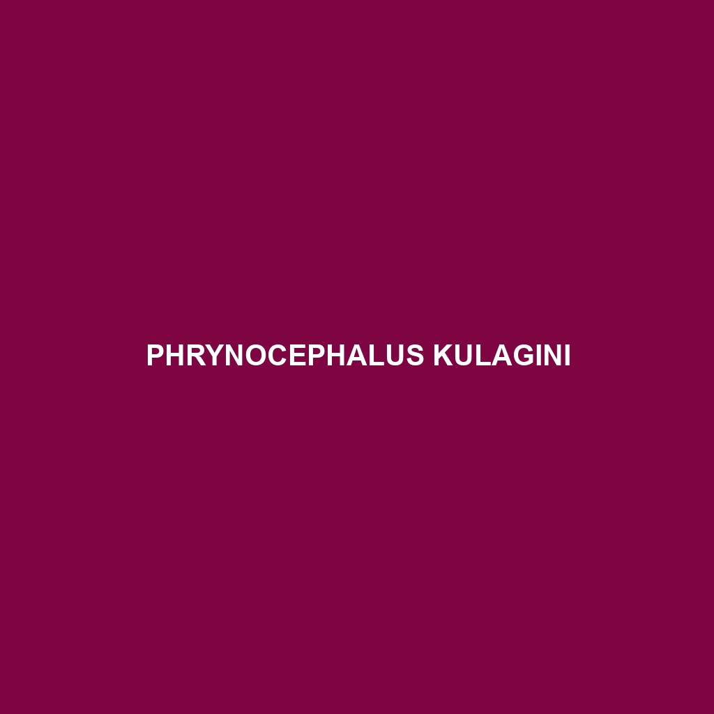 Phrynocephalus kulagini