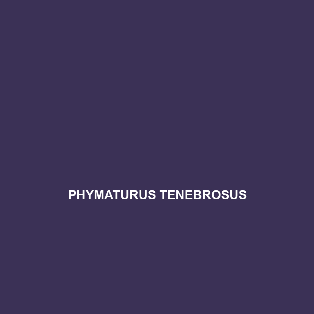 Phymaturus tenebrosus