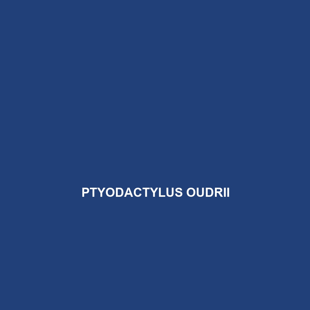 Ptyodactylus oudrii