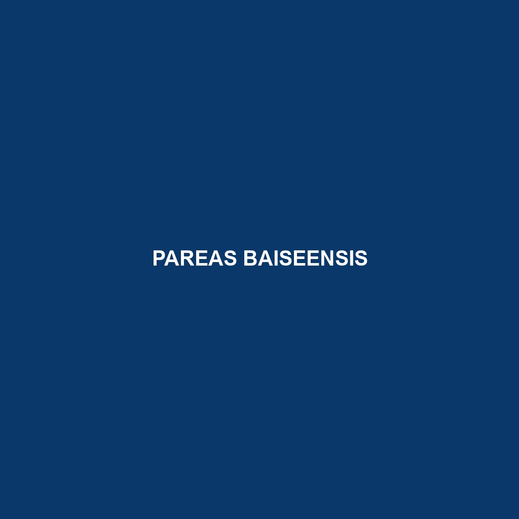 Pareas baiseensis