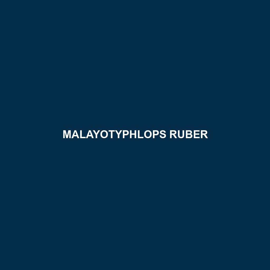 Malayotyphlops ruber