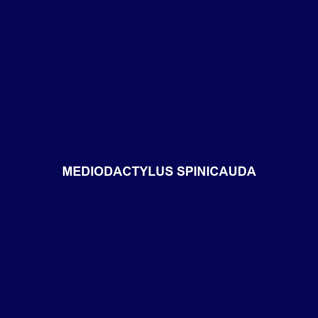 Mediodactylus spinicauda