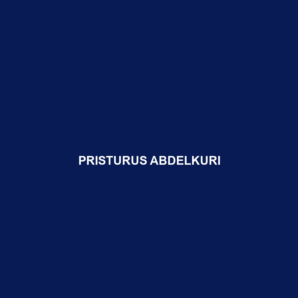 Pristurus abdelkuri