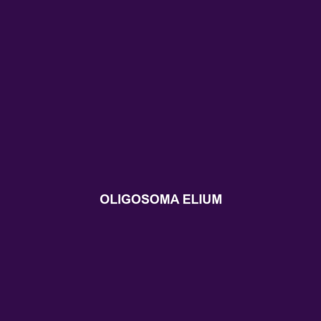 Oligosoma elium