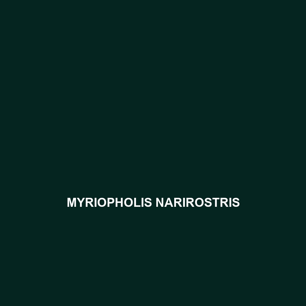 Myriopholis narirostris