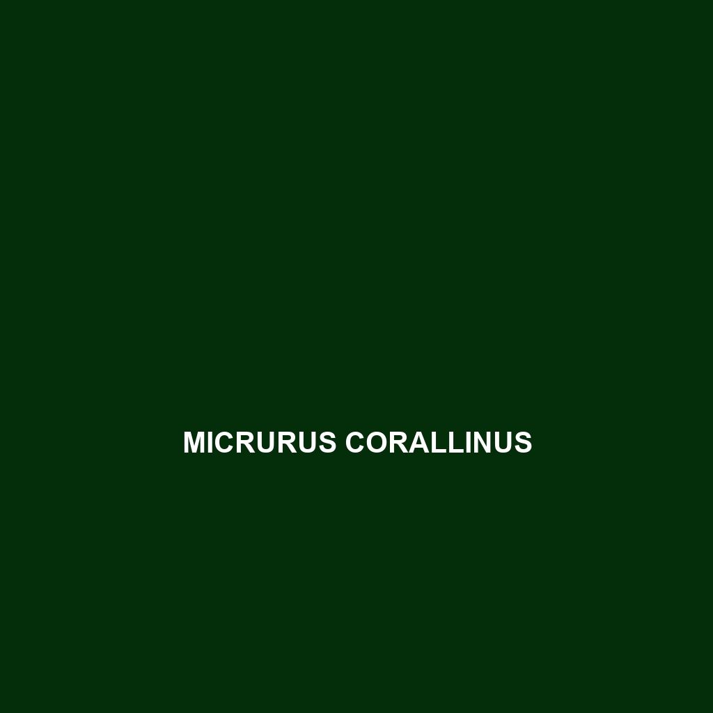 Micrurus corallinus