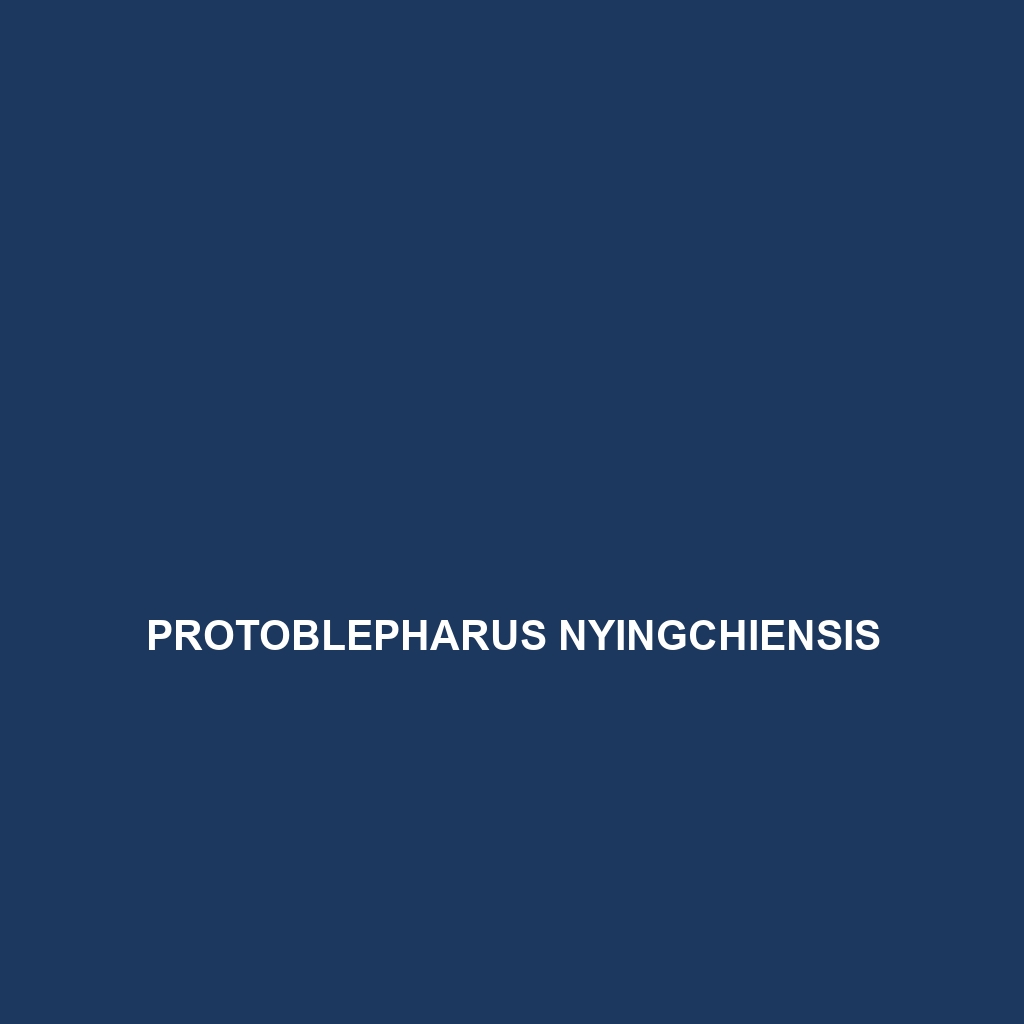 Protoblepharus nyingchiensis