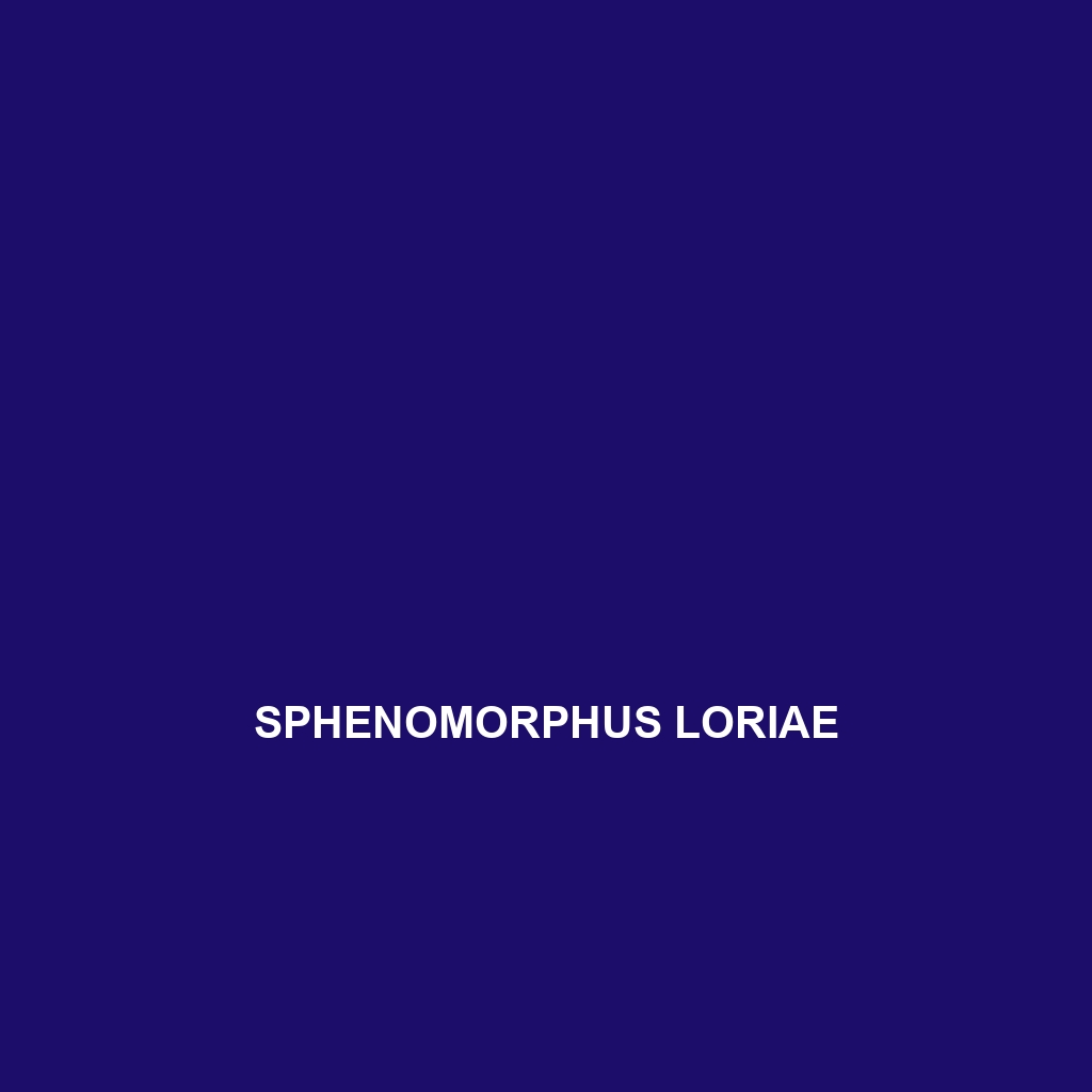 Sphenomorphus loriae