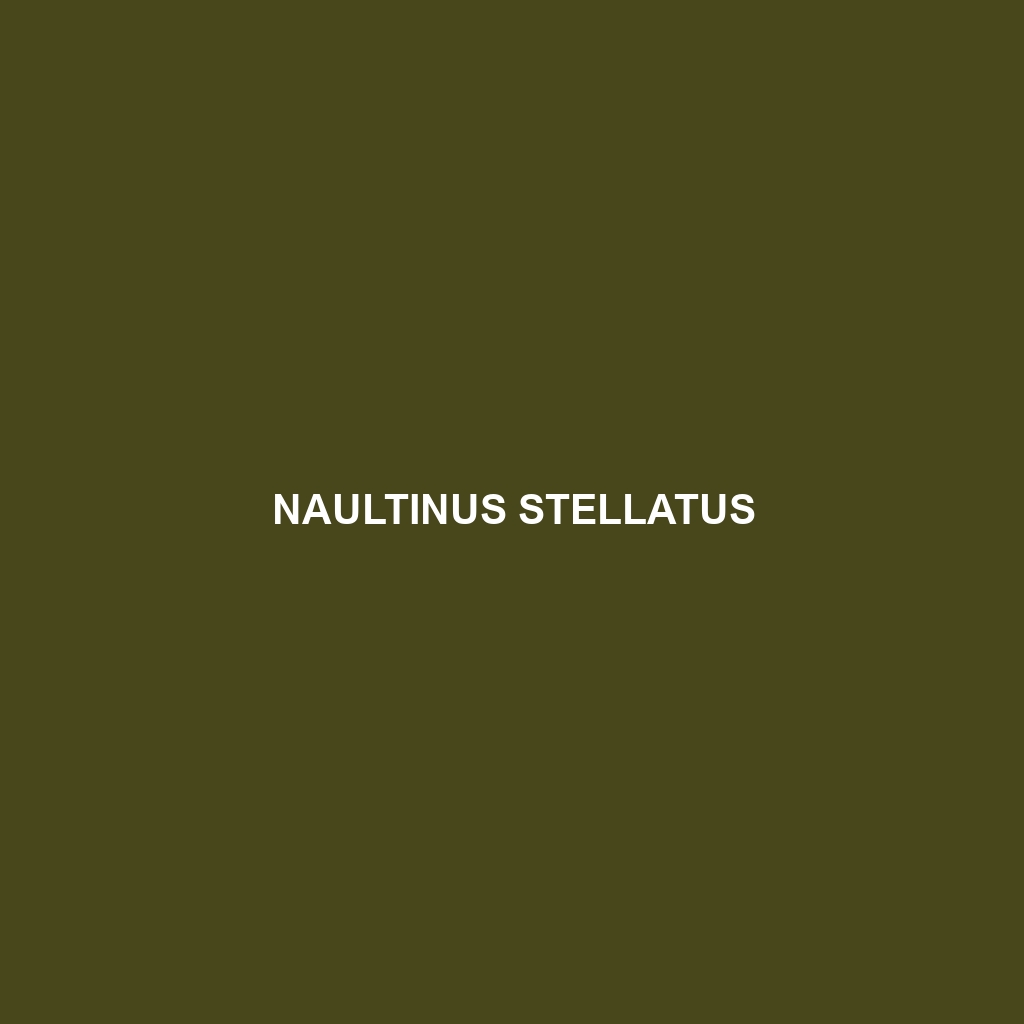 Naultinus stellatus