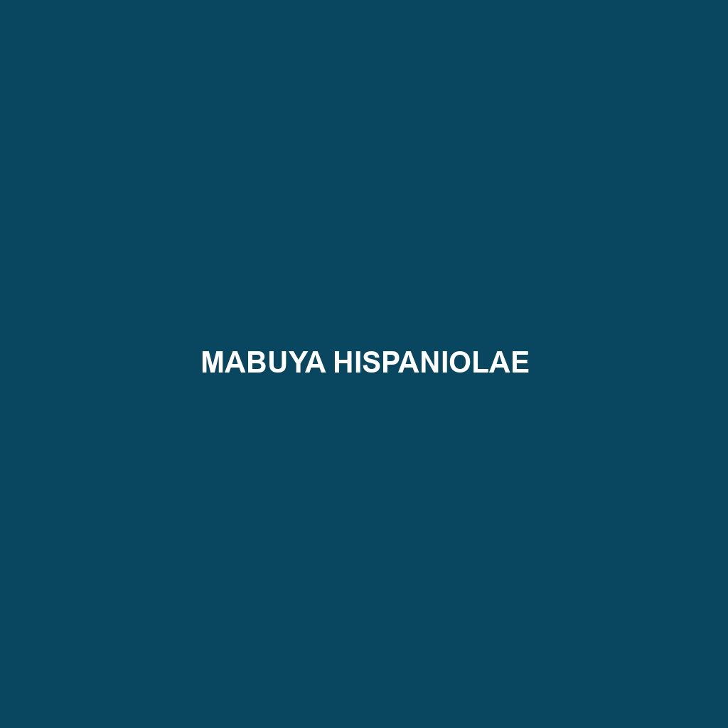 Mabuya hispaniolae