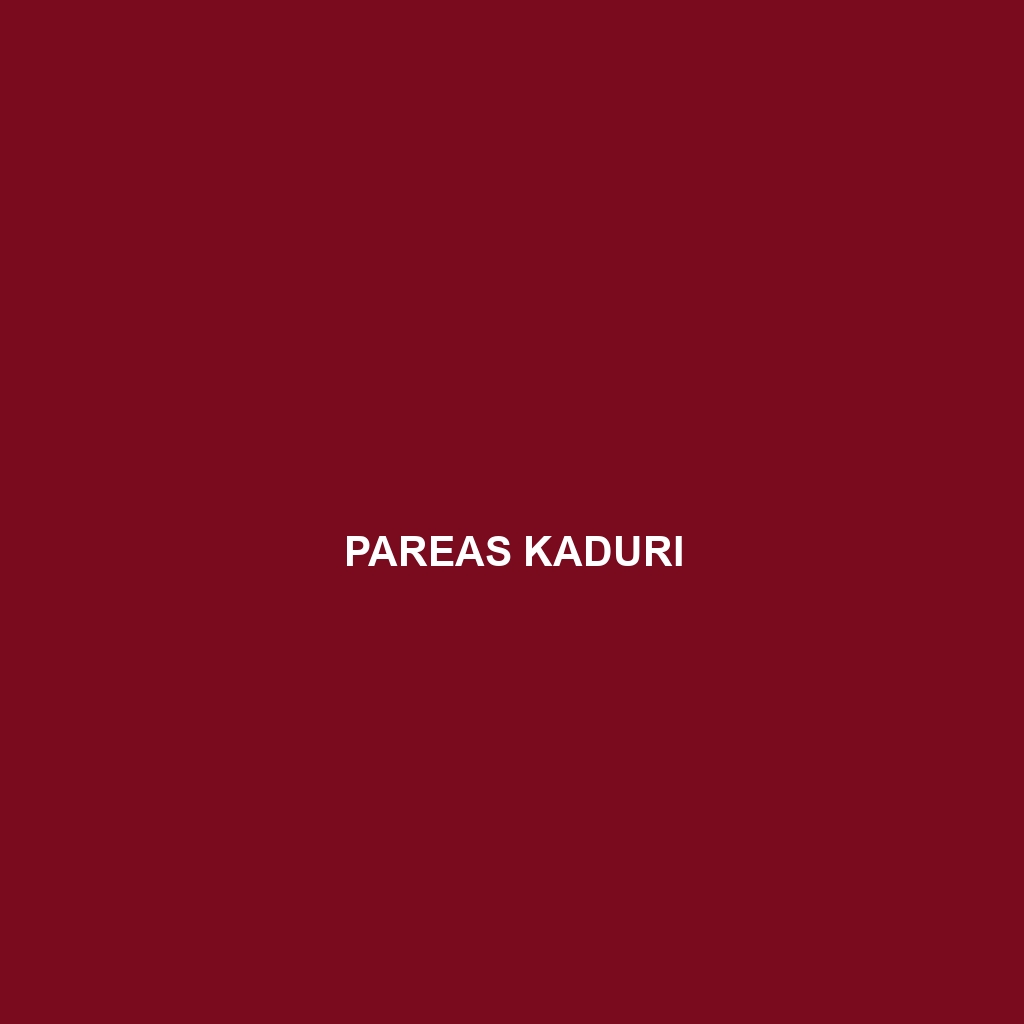 Pareas kaduri