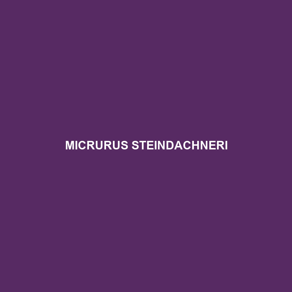 Micrurus steindachneri