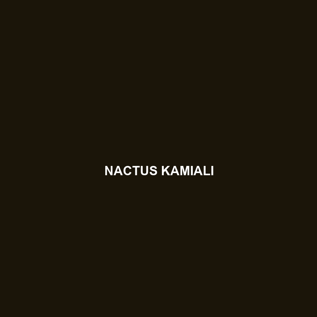 Nactus kamiali