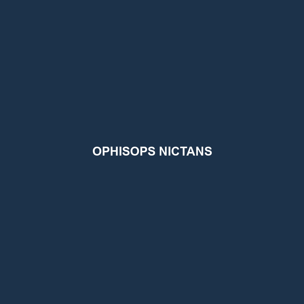 Ophisops nictans