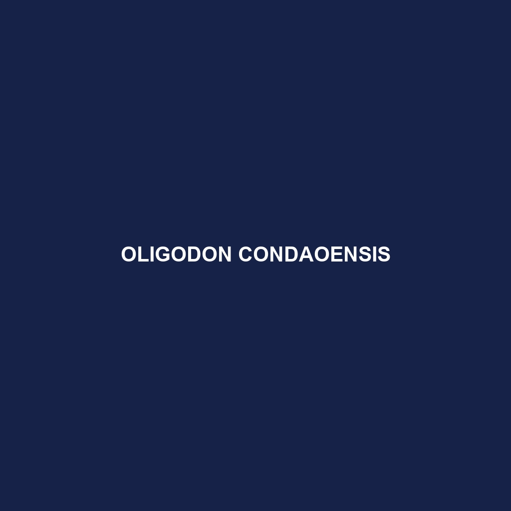 Oligodon condaoensis