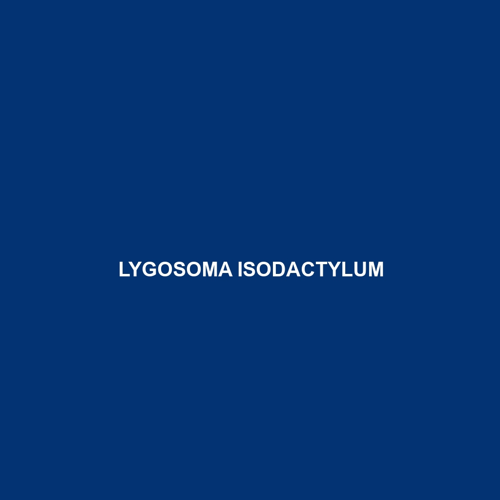 Lygosoma isodactylum