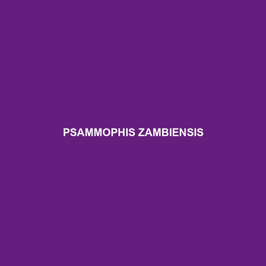 Psammophis zambiensis