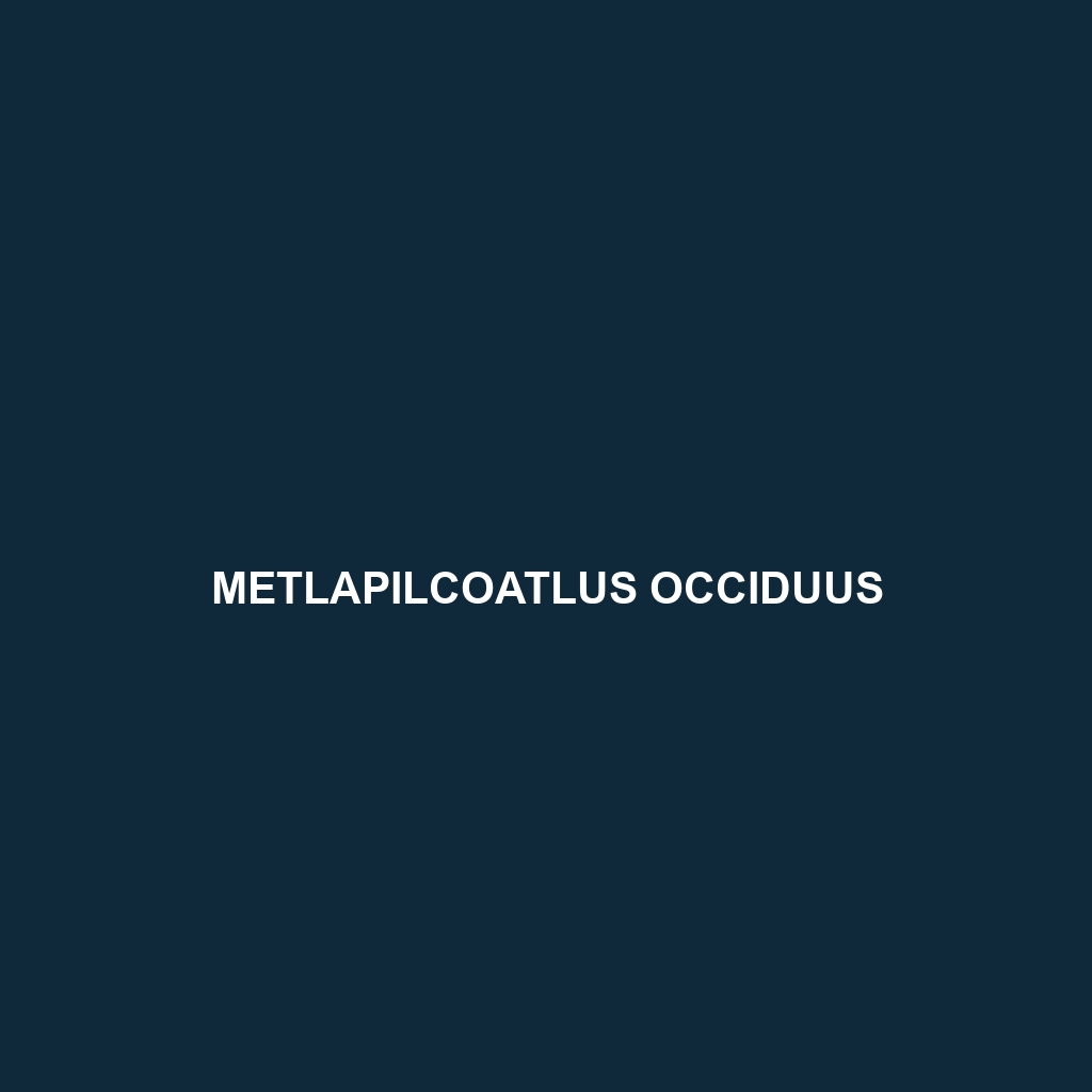 Metlapilcoatlus occiduus