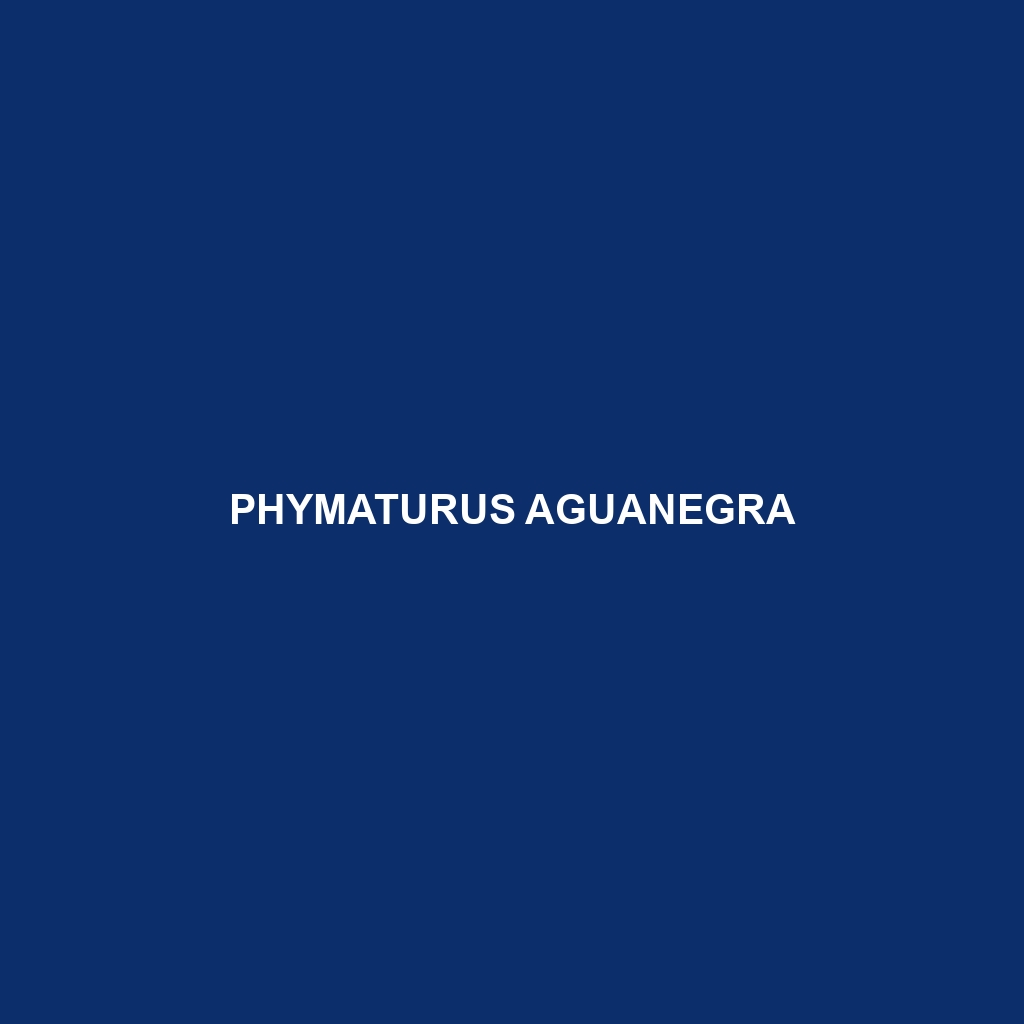 Phymaturus aguanegra