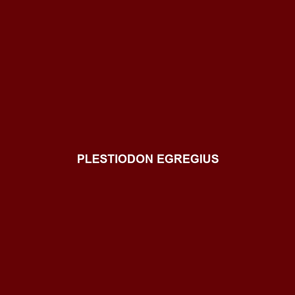 Plestiodon egregius