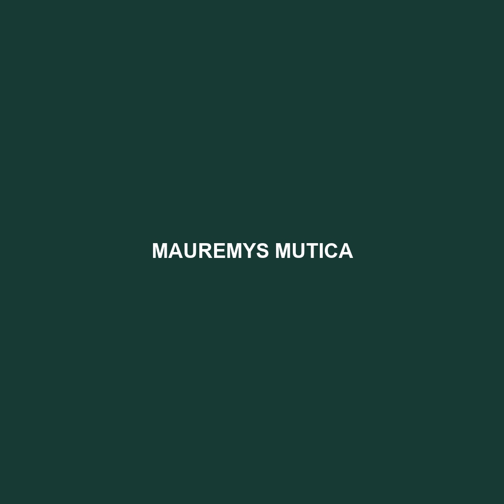 Mauremys mutica