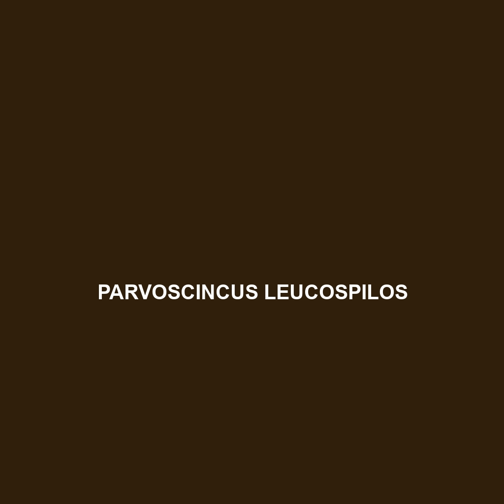 Parvoscincus leucospilos