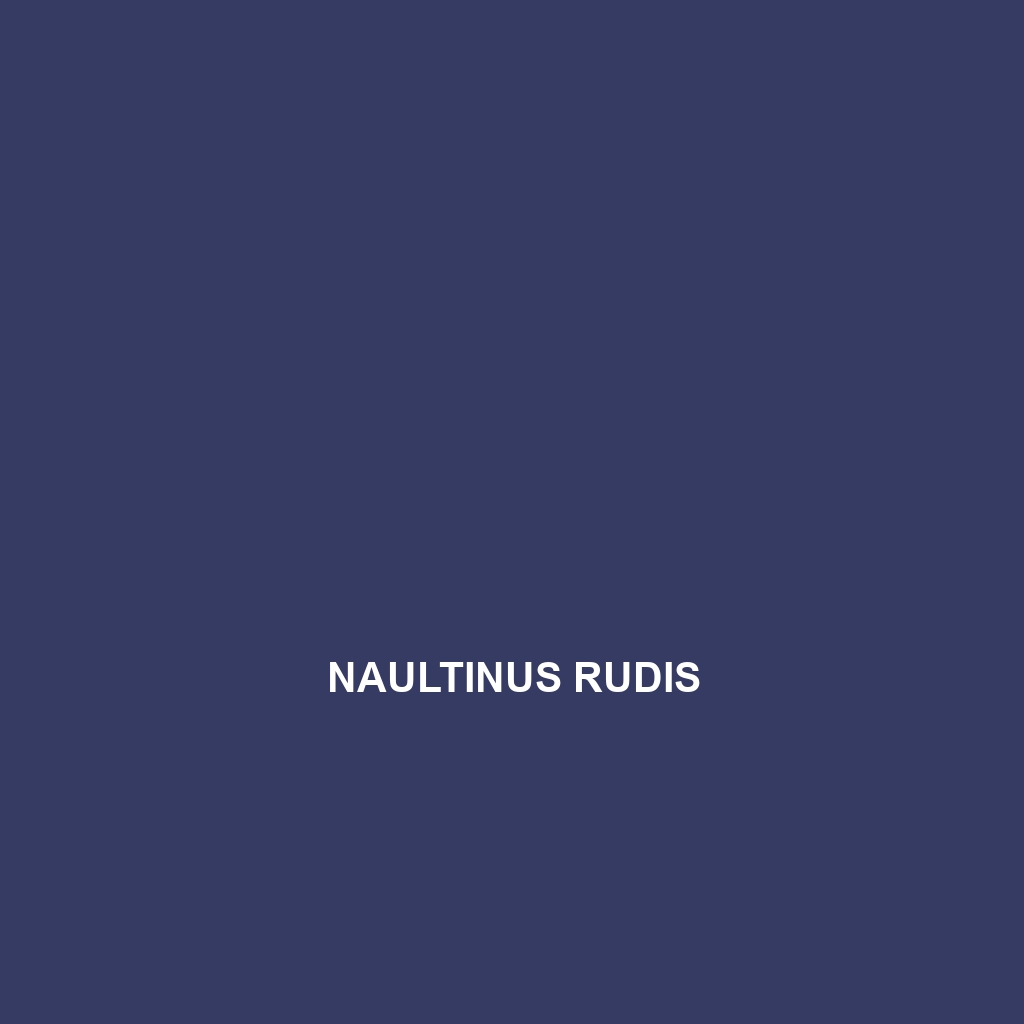 Naultinus rudis