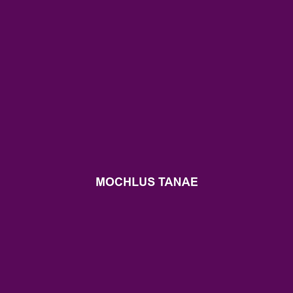 Mochlus tanae