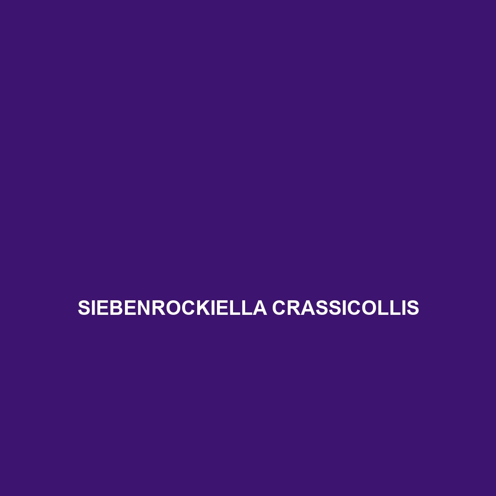 Siebenrockiella crassicollis