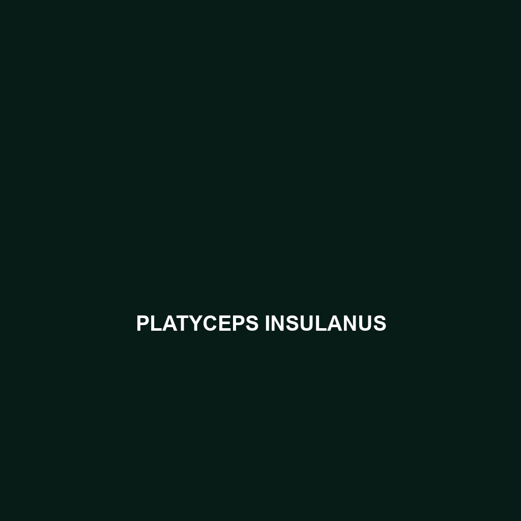 Platyceps insulanus