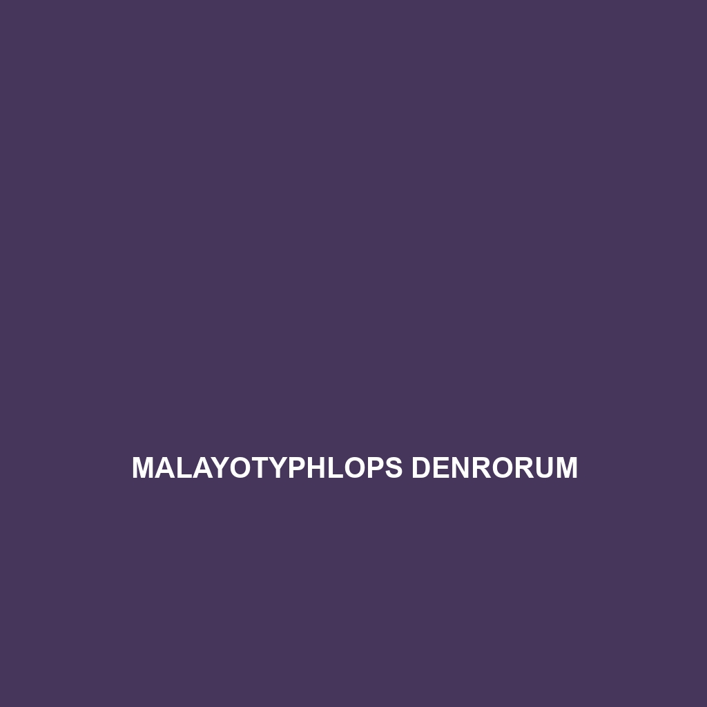 Malayotyphlops denrorum