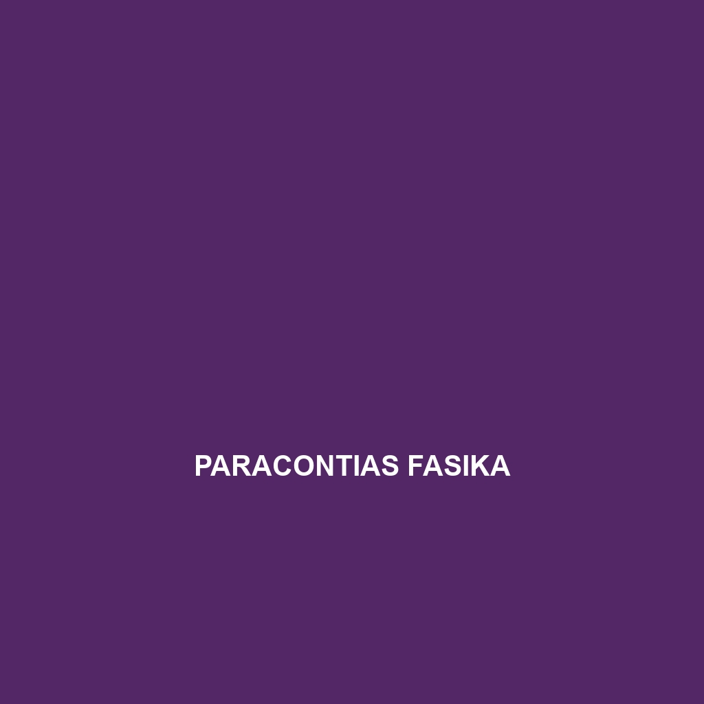 Paracontias fasika