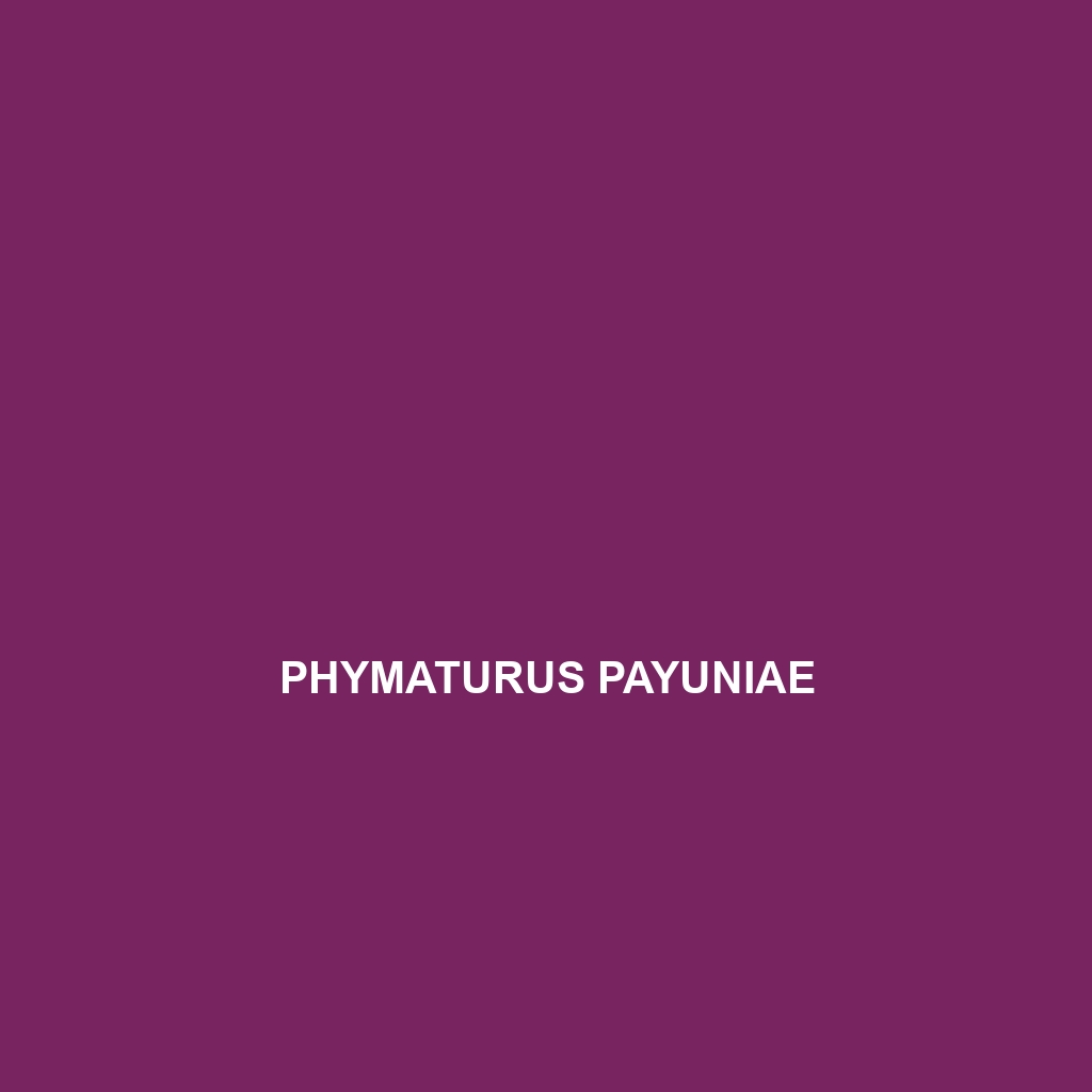 Phymaturus payuniae