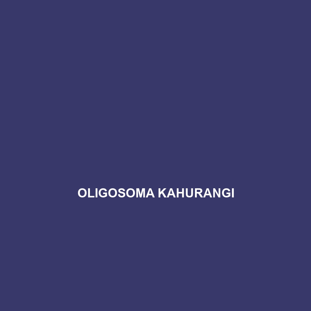 Oligosoma kahurangi