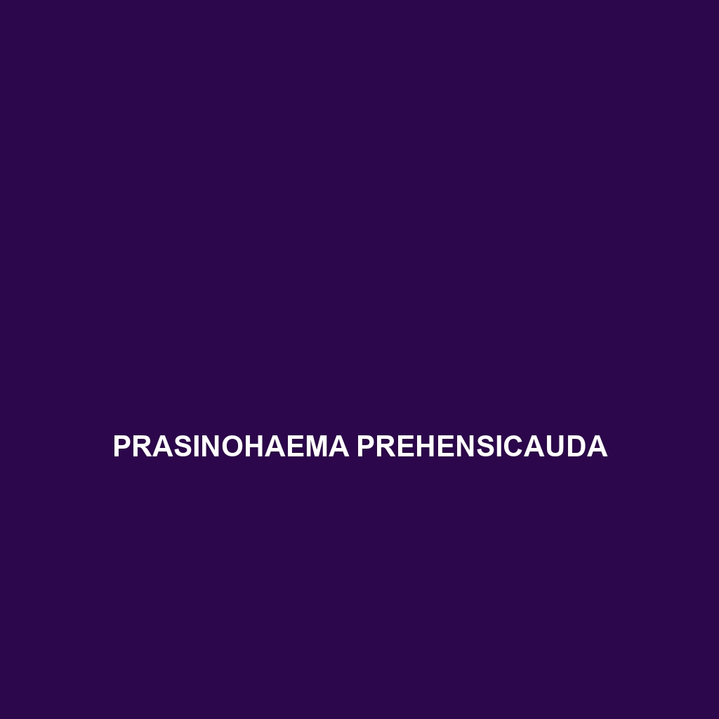 Prasinohaema prehensicauda