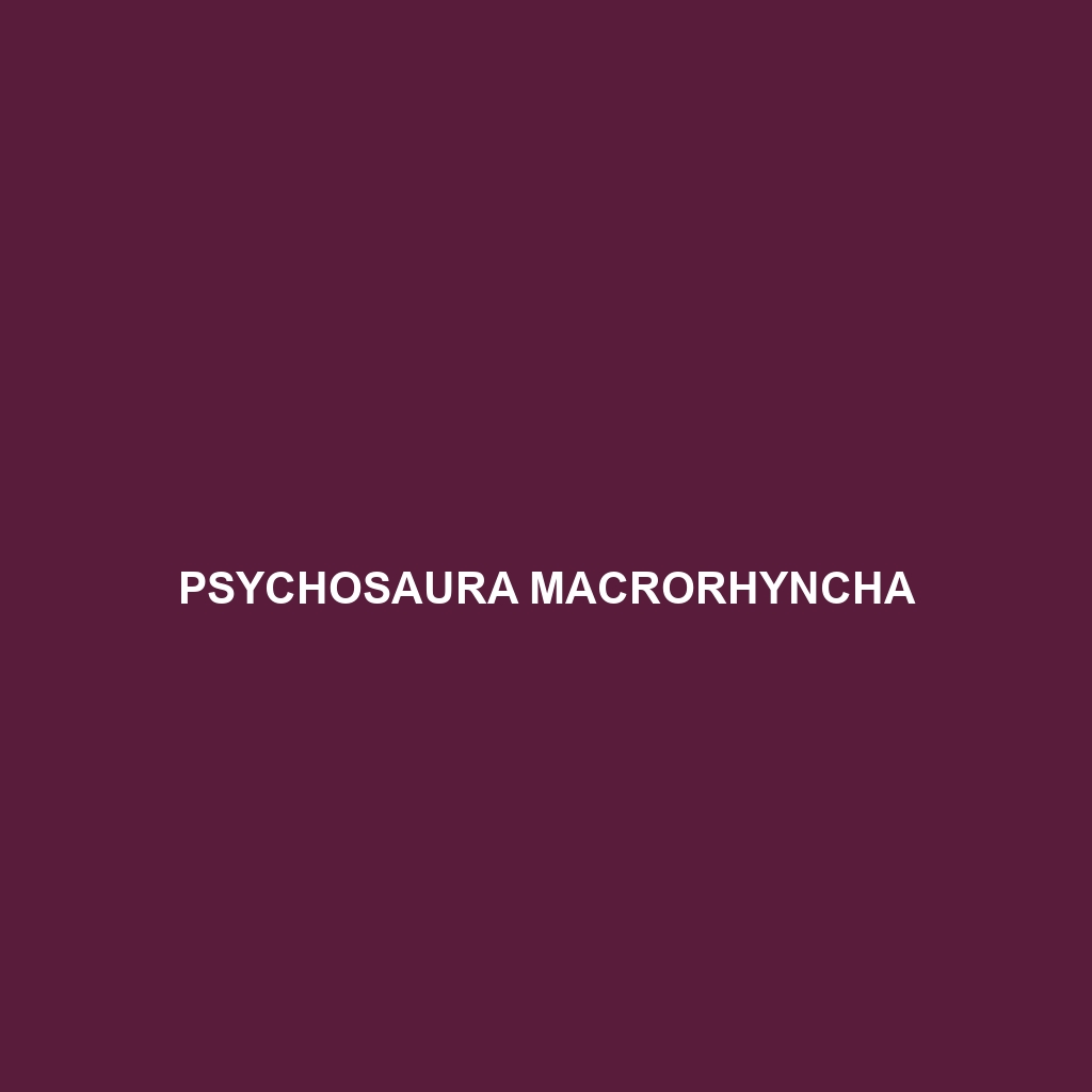 Psychosaura macrorhyncha