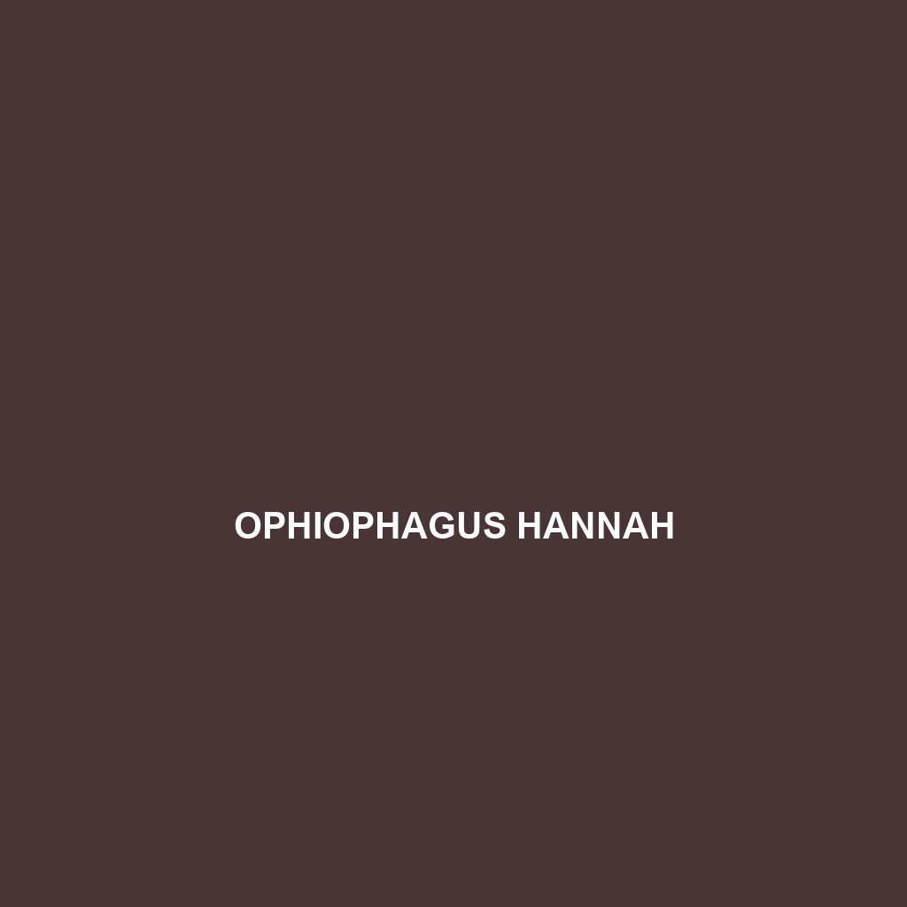 Ophiophagus hannah