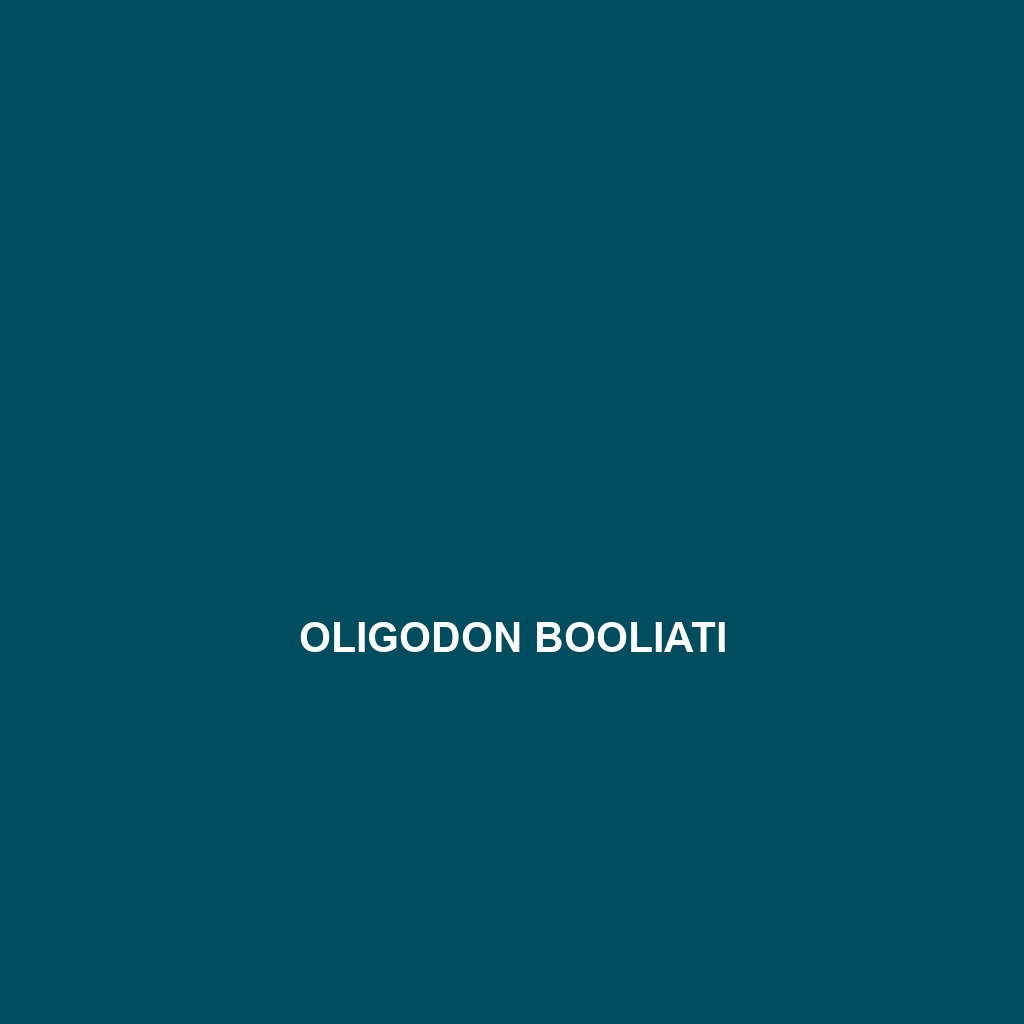 Oligodon booliati