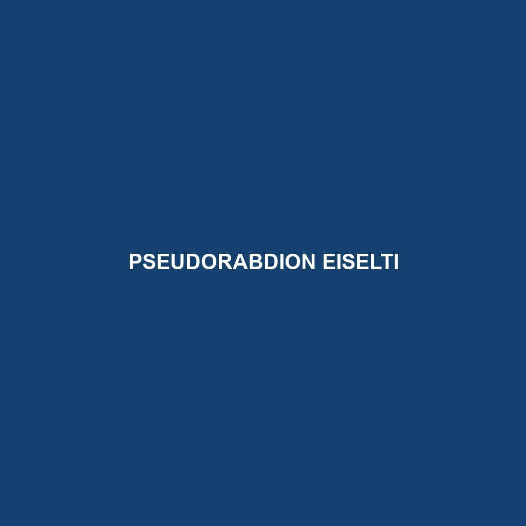 Pseudorabdion eiselti