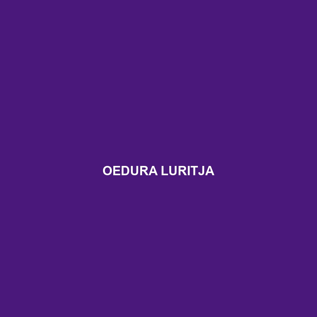 Oedura luritja