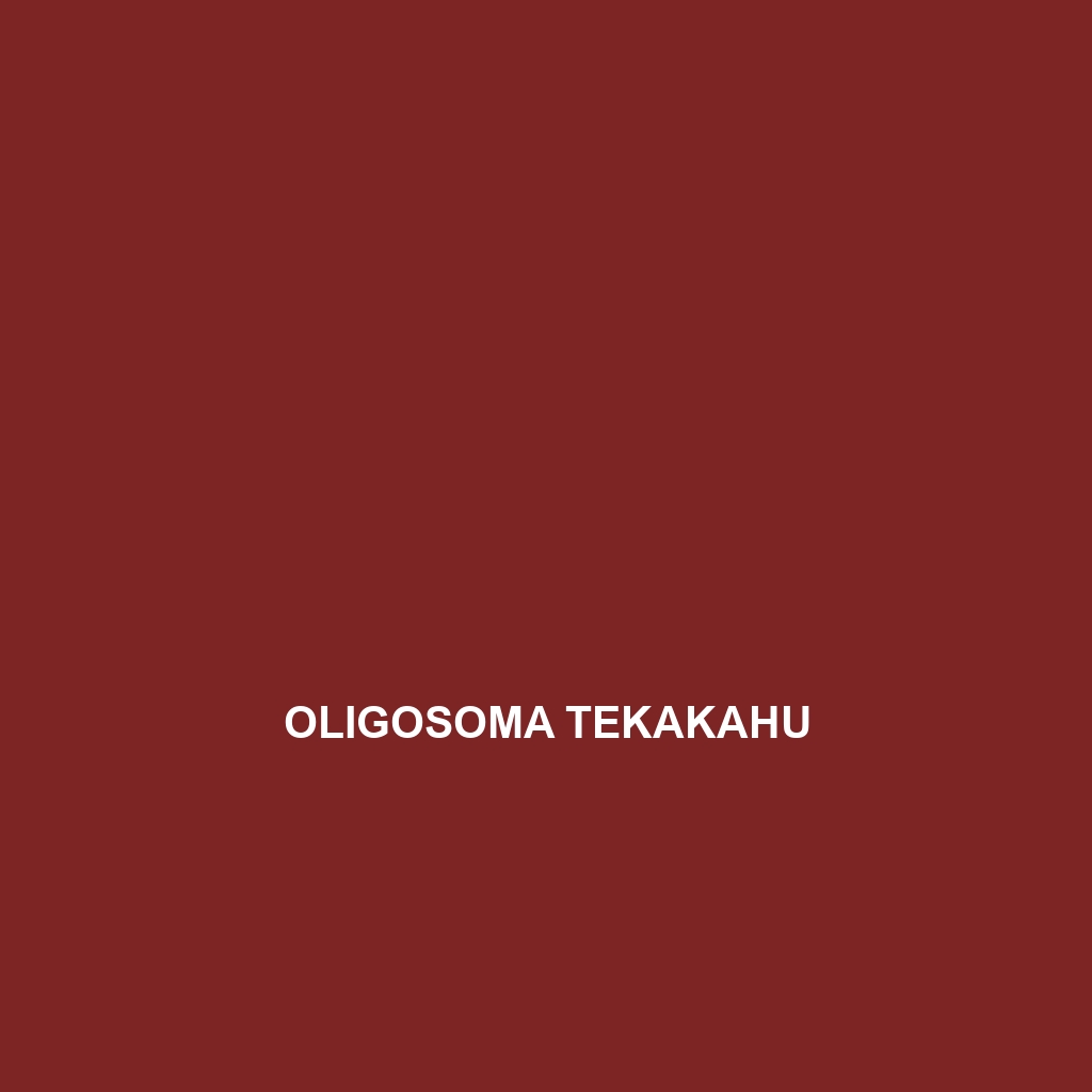 Oligosoma tekakahu