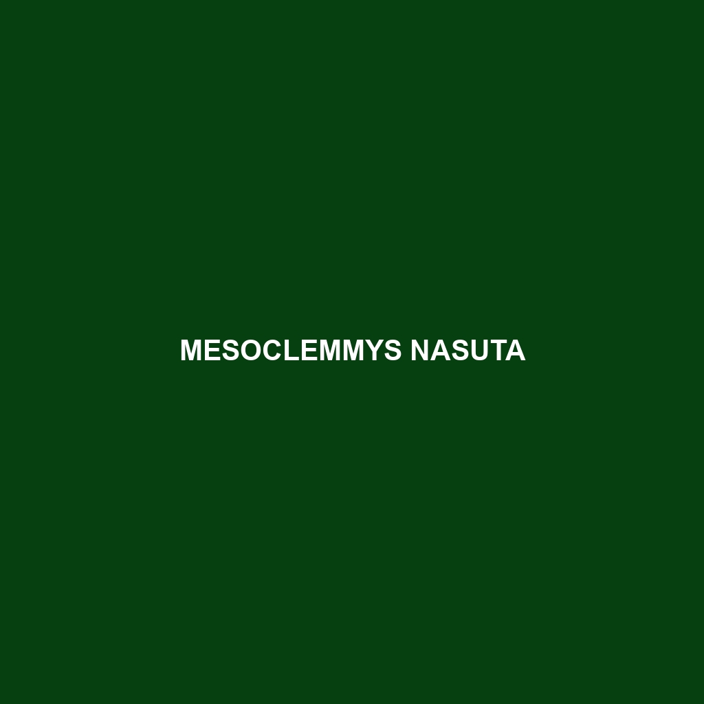 Mesoclemmys nasuta