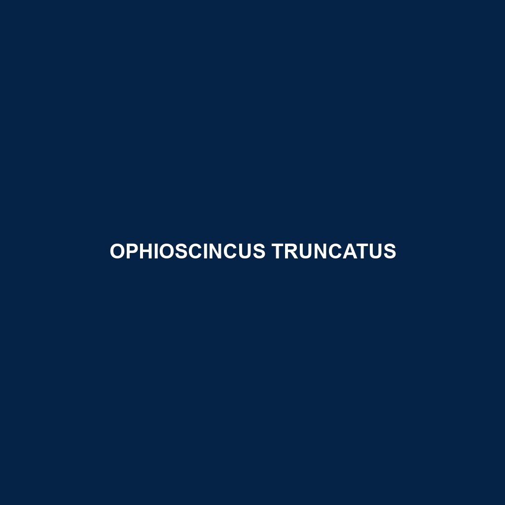 Ophioscincus truncatus