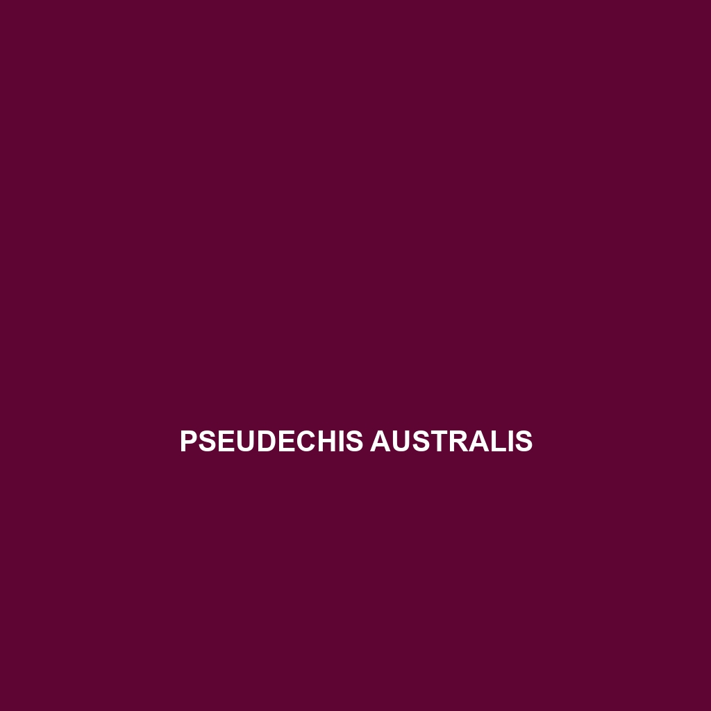 Pseudechis australis