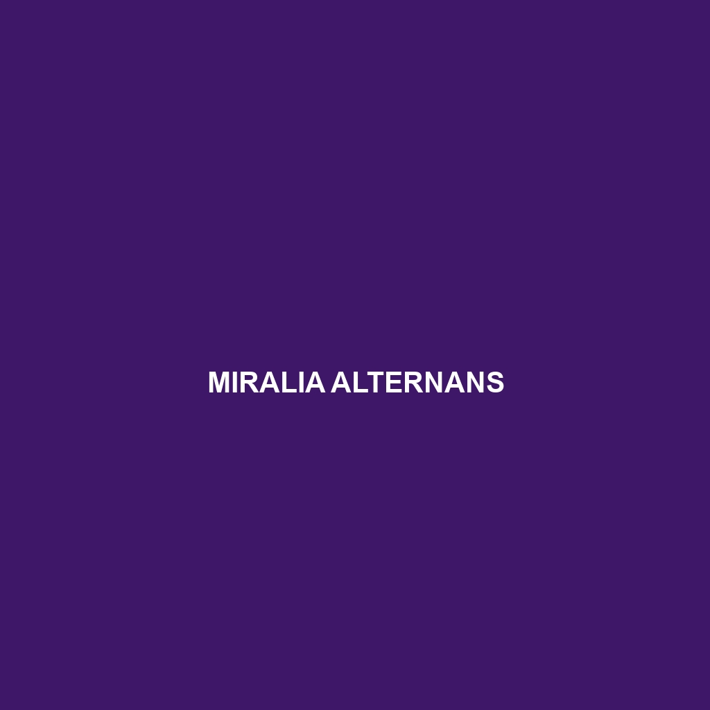 Miralia alternans