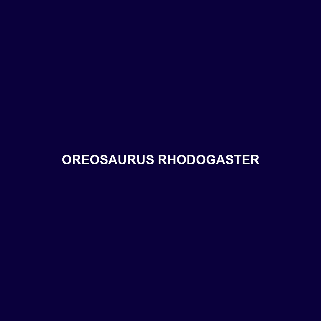 Oreosaurus rhodogaster