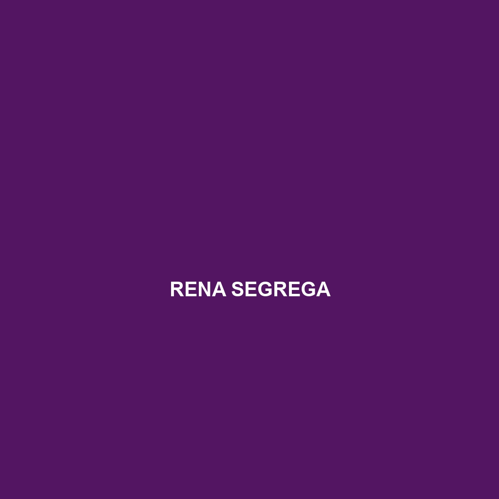 Rena segrega