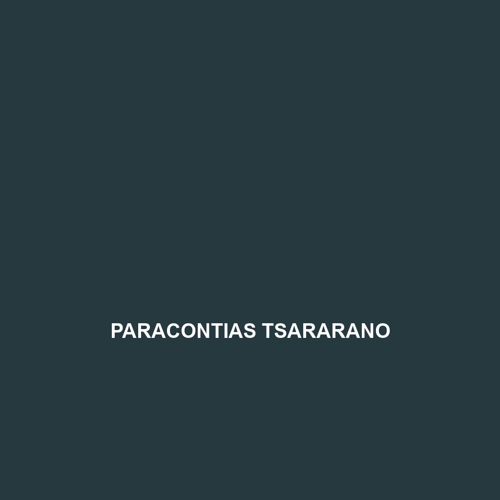 Paracontias tsararano