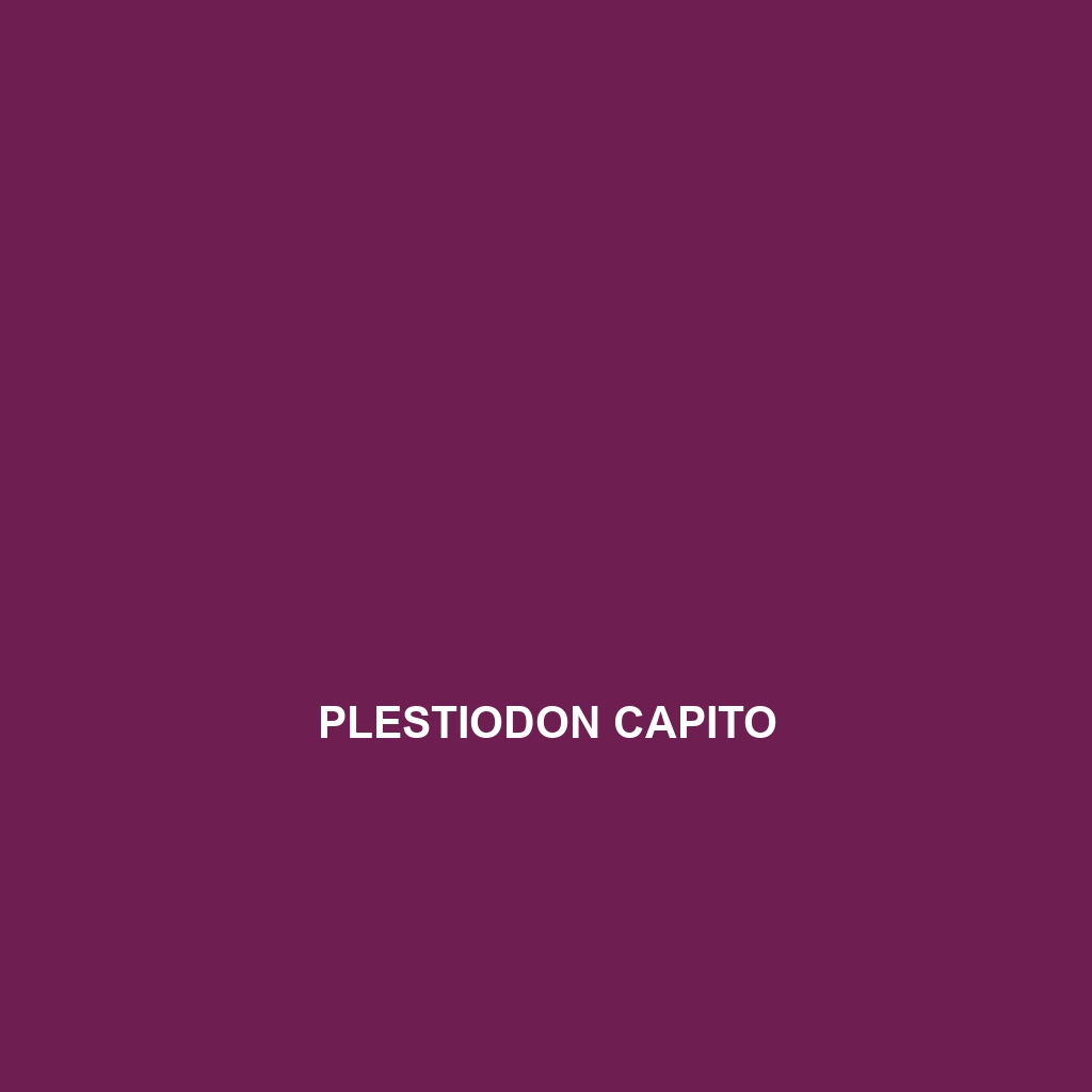 Plestiodon capito